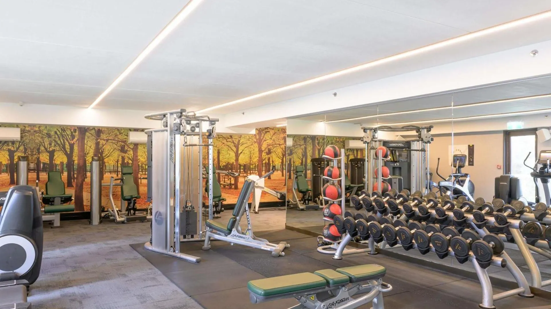 Отель Sofitel Веллингтон